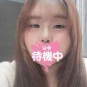 ヒメ日記 2026/02/28 13:08 投稿 かな 兵庫姫路・加古川ちゃんこ