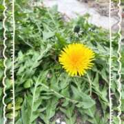 ヒメ日記 2026/03/18 16:46 投稿 堀（ホリ） アバンチュール(五反田)