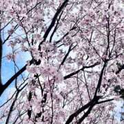 ヒメ日記 2026/03/22 15:31 投稿 堀（ホリ） アバンチュール(五反田)