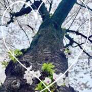 ヒメ日記 2026/04/02 12:01 投稿 堀（ホリ） アバンチュール(五反田)