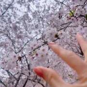 ヒメ日記 2026/04/02 14:01 投稿 堀（ホリ） アバンチュール(五反田)