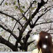 ヒメ日記 2026/04/08 11:31 投稿 堀（ホリ） アバンチュール(五反田)