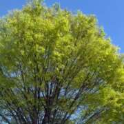 ヒメ日記 2026/04/08 14:01 投稿 堀（ホリ） アバンチュール(五反田)