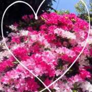 ヒメ日記 2026/04/11 16:16 投稿 堀（ホリ） アバンチュール(五反田)