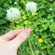 ヒメ日記 2026/05/02 15:16 投稿 堀（ホリ） アバンチュール(五反田)