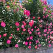 ヒメ日記 2026/05/03 07:01 投稿 堀（ホリ） アバンチュール(五反田)