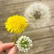 ヒメ日記 2026/05/06 14:31 投稿 堀（ホリ） アバンチュール(五反田)