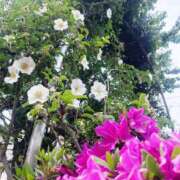 ヒメ日記 2026/05/08 09:46 投稿 堀（ホリ） アバンチュール(五反田)