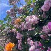 ヒメ日記 2026/05/09 14:46 投稿 堀（ホリ） アバンチュール(五反田)