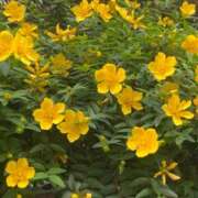 ヒメ日記 2026/05/30 07:01 投稿 堀（ホリ） アバンチュール(五反田)