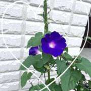 ヒメ日記 2026/06/14 07:16 投稿 堀（ホリ） アバンチュール(五反田)