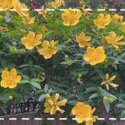 ヒメ日記 2026/07/16 07:16 投稿 堀（ホリ） アバンチュール(五反田)