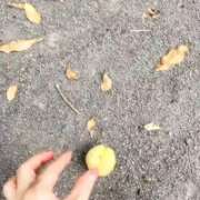 ヒメ日記 2026/09/02 13:16 投稿 堀(ホリ) アバンチュール(五反田)
