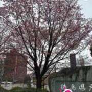 ヒメ日記 2026/03/23 20:12 投稿 はつゆき 熟女の風俗最終章 仙台店