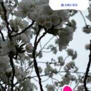 ヒメ日記 2026/03/24 12:15 投稿 はつゆき 熟女の風俗最終章 仙台店