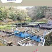 ヒメ日記 2026/03/31 20:14 投稿 はつゆき 熟女の風俗最終章 仙台店