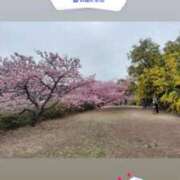 ヒメ日記 2026/04/02 20:14 投稿 はつゆき 熟女の風俗最終章 仙台店