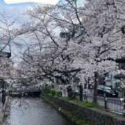 ヒメ日記 2026/04/04 12:14 投稿 はつゆき 熟女の風俗最終章 仙台店