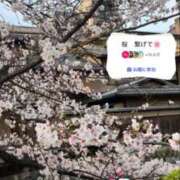 ヒメ日記 2026/04/04 20:14 投稿 はつゆき 熟女の風俗最終章 仙台店