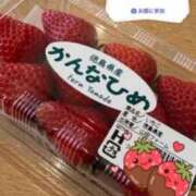 ヒメ日記 2026/04/09 12:24 投稿 はつゆき 熟女の風俗最終章 仙台店