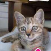 ヒメ日記 2026/04/09 22:04 投稿 はつゆき 熟女の風俗最終章 仙台店