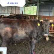 ヒメ日記 2026/04/12 13:14 投稿 はつゆき 熟女の風俗最終章 仙台店