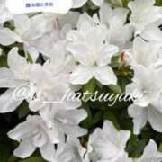 ヒメ日記 2026/04/21 20:20 投稿 はつゆき 熟女の風俗最終章 仙台店