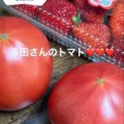 ヒメ日記 2026/04/27 18:14 投稿 はつゆき 熟女の風俗最終章 仙台店