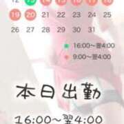 ヒメ日記 2026/07/13 08:22 投稿 はつゆき 熟女の風俗最終章 仙台店