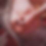 ヒメ日記 2026/02/08 18:02 投稿 みゅん さくらん