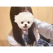 ヒメ日記 2026/04/02 22:09 投稿 ねむち プレミアム(福原)