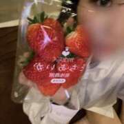 ヒメ日記 2026/02/15 17:00 投稿 ウラ ピカソ