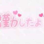 ヒメ日記 2026/03/14 07:47 投稿 ウラ ピカソ