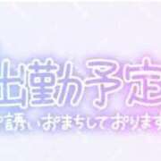ヒメ日記 2026/04/13 19:56 投稿 ウラ ピカソ