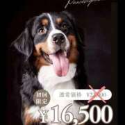 ヒメ日記 2026/03/29 10:19 投稿 きせき 即アポ奥さん～静岡店～