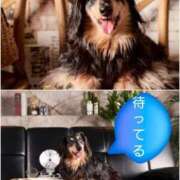 ヒメ日記 2026/04/19 16:49 投稿 きせき 即アポ奥さん～静岡店～