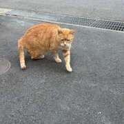 ヒメ日記 2026/02/23 10:22 投稿 すい The White