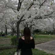 ヒメ日記 2026/04/07 15:15 投稿 せいら スピードエコ梅田店