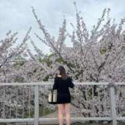 ヒメ日記 2026/04/16 09:06 投稿 せいら スピードエコ梅田店