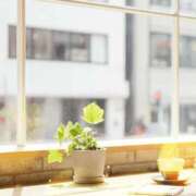 ヒメ日記 2026/03/22 19:13 投稿 ゆきみ 池袋人妻ヒットパレード（シンデレラグループ）