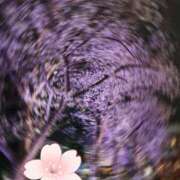 ヒメ日記 2026/04/01 17:01 投稿 ゆきみ 池袋人妻ヒットパレード（シンデレラグループ）