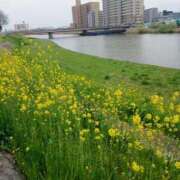 のの ★突然ですが、、、★ 土浦人妻浮気現場