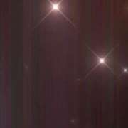 ヒメ日記 2026/02/09 12:50 投稿 高宮いと ウルトラセレクション