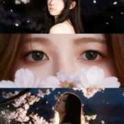 ヒメ日記 2026/03/21 16:52 投稿 高宮いと ウルトラセレクション