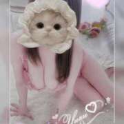 ヒメ日記 2026/03/16 06:43 投稿 ゆず ニューグランド