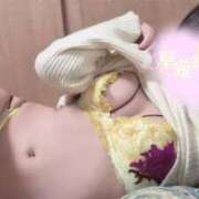 ヒメ日記 2026/03/05 14:07 投稿 草薙 めあり Canx2京都店