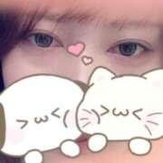 ヒメ日記 2026/04/12 16:46 投稿 こゆき ぽっちゃり巨乳素人専門横浜関内伊勢佐木町ちゃんこ