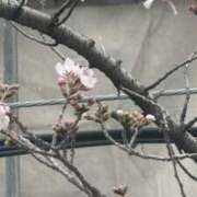 ヒメ日記 2026/03/26 18:42 投稿 あまね スピード梅田店