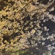 ヒメ日記 2026/03/31 18:02 投稿 あまね スピード梅田店