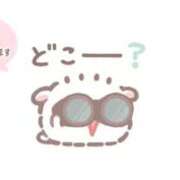 ヒメ日記 2026/04/24 20:13 投稿 あまね スピード梅田店